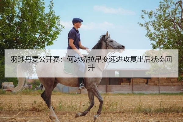 羽球丹麦公开赛：何冰娇拉吊变速进攻复出后状态回升